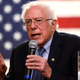 Illustration for article titled Liberals Say Sanders’s Acceptance Of Rogan Endorsement Sends Dangerous Message He Trying To Win Election